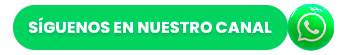 Logo WhatsApp Channel